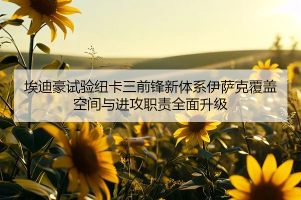埃迪豪试验纽卡三前锋新体系伊萨克覆盖空间与进攻职责全面升级